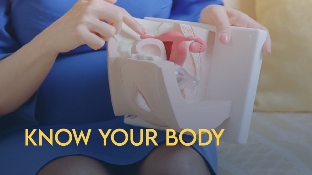 Know Your Body: Essential Anatomy