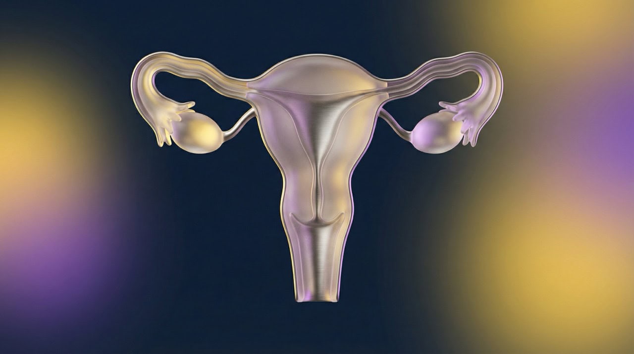 Know Your Body: Essential Anatomy